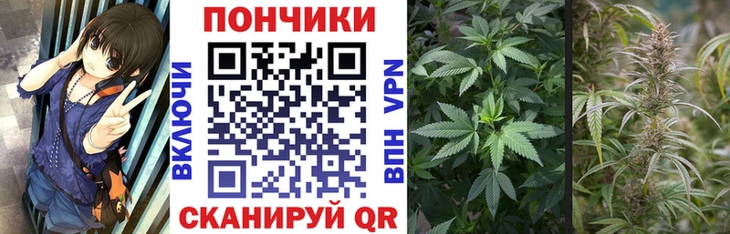 Купить закладку Марихуана  A-PVP  МЕФ  Cocaine  Унеча