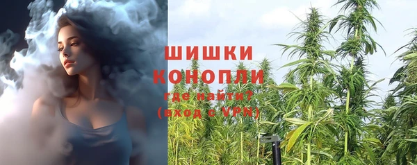 ГАЛЛЮЦИНОГЕННЫЕ ГРИБЫ Нефтегорск